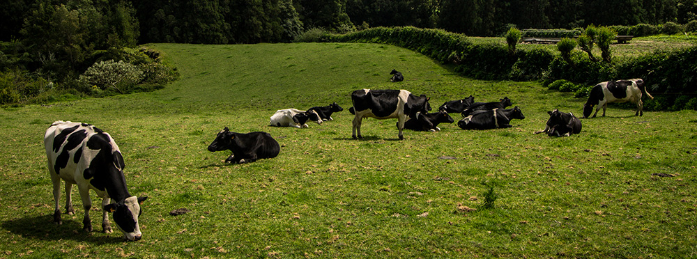 EZG - Erzeugergemeinschaft Milch - Milchquelle w.V.